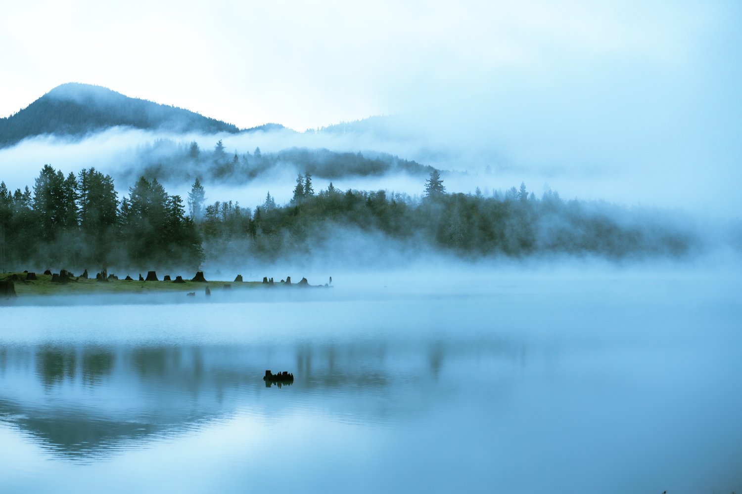 Image of Lady In The Lake