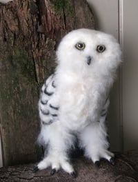 Image 1 of Snowy Owl