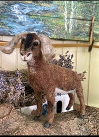 Image 2 of Goat