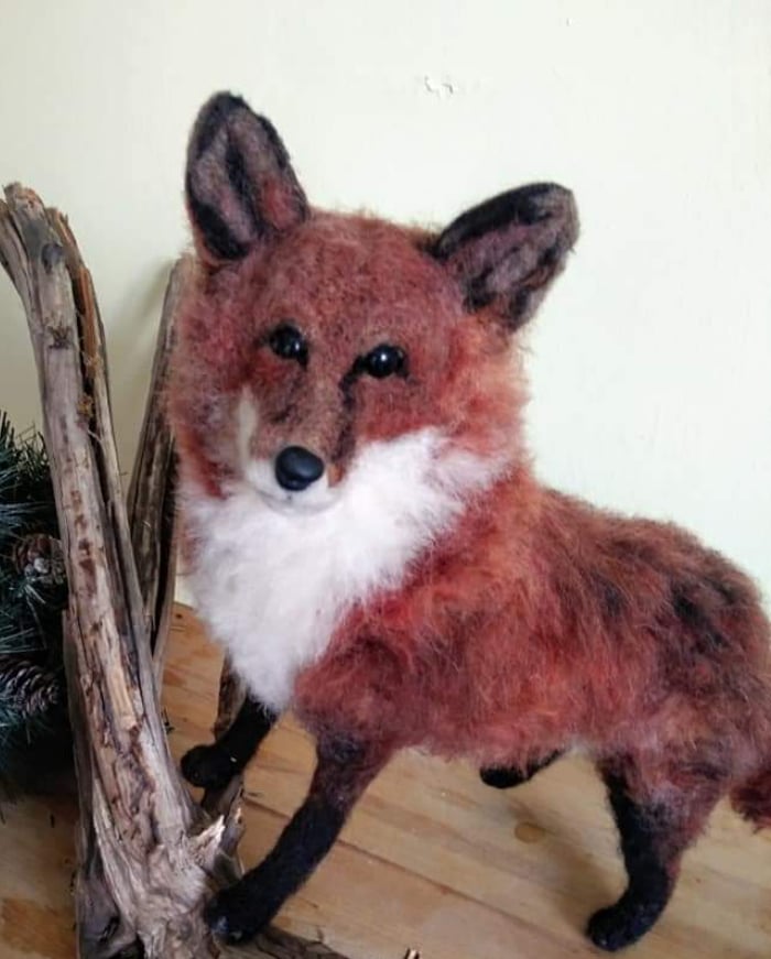 Image of Fox 