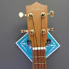 IMPERFECT Blue Turquoise Deco Instrument Display Hanger for your Ukulele, Violin or Guitar