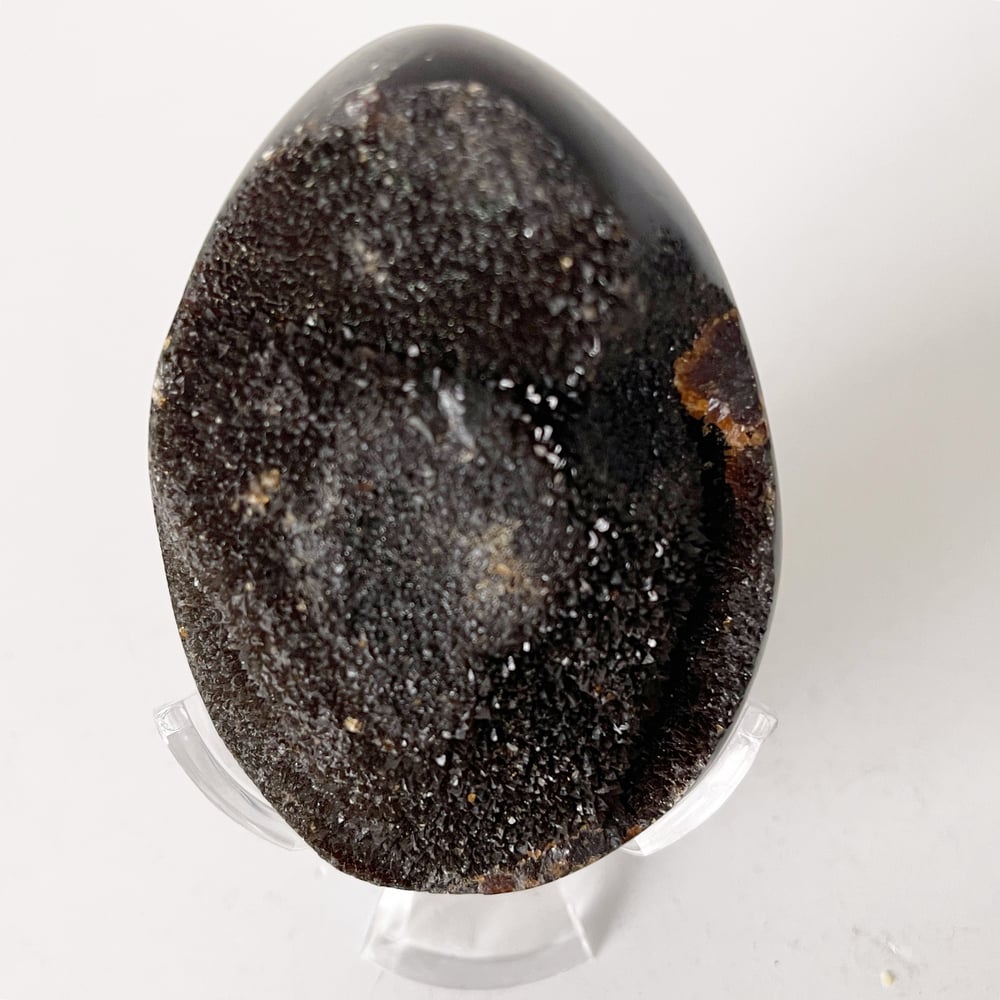 Image of Polished Septarian Nodule no.58 + Lucite Claw Stand