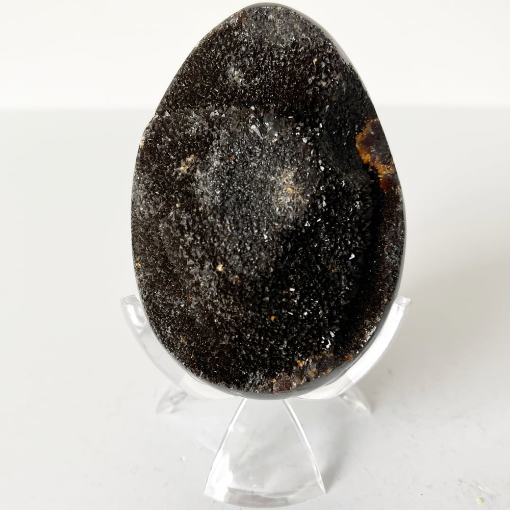 Image of Polished Septarian Nodule no.58 + Lucite Claw Stand