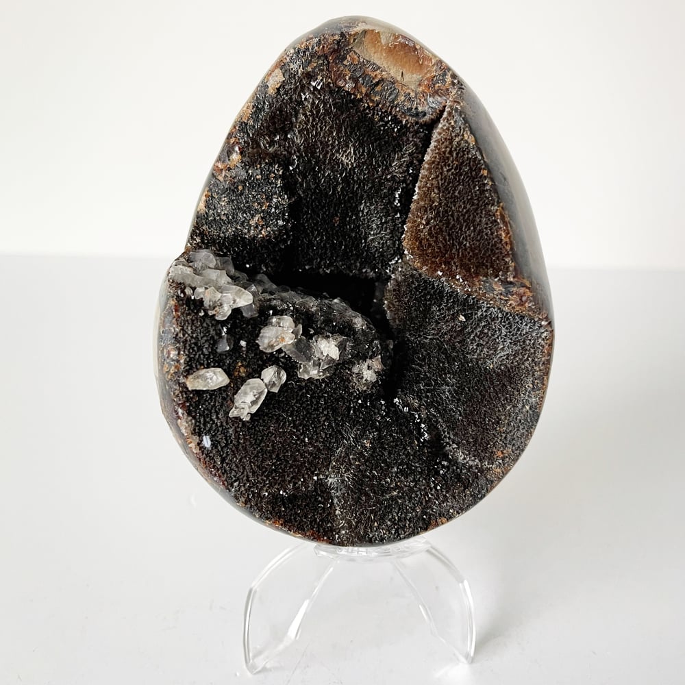 Image of Polished Septarian Nodule no.96 + Lucite Claw Stand