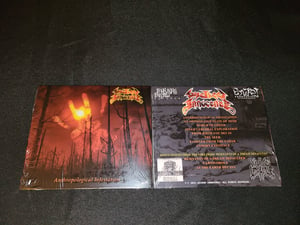 Image of     Wicked Innocence / Anthropological Infestation CD