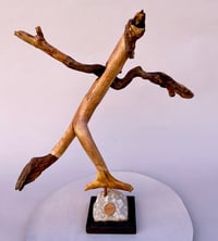 Image 1 of Faintly Saintly