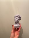 david