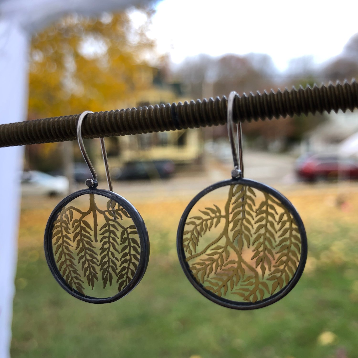 Image of Willow botanicals under glass