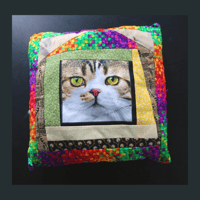 Cat Design Pillow for People