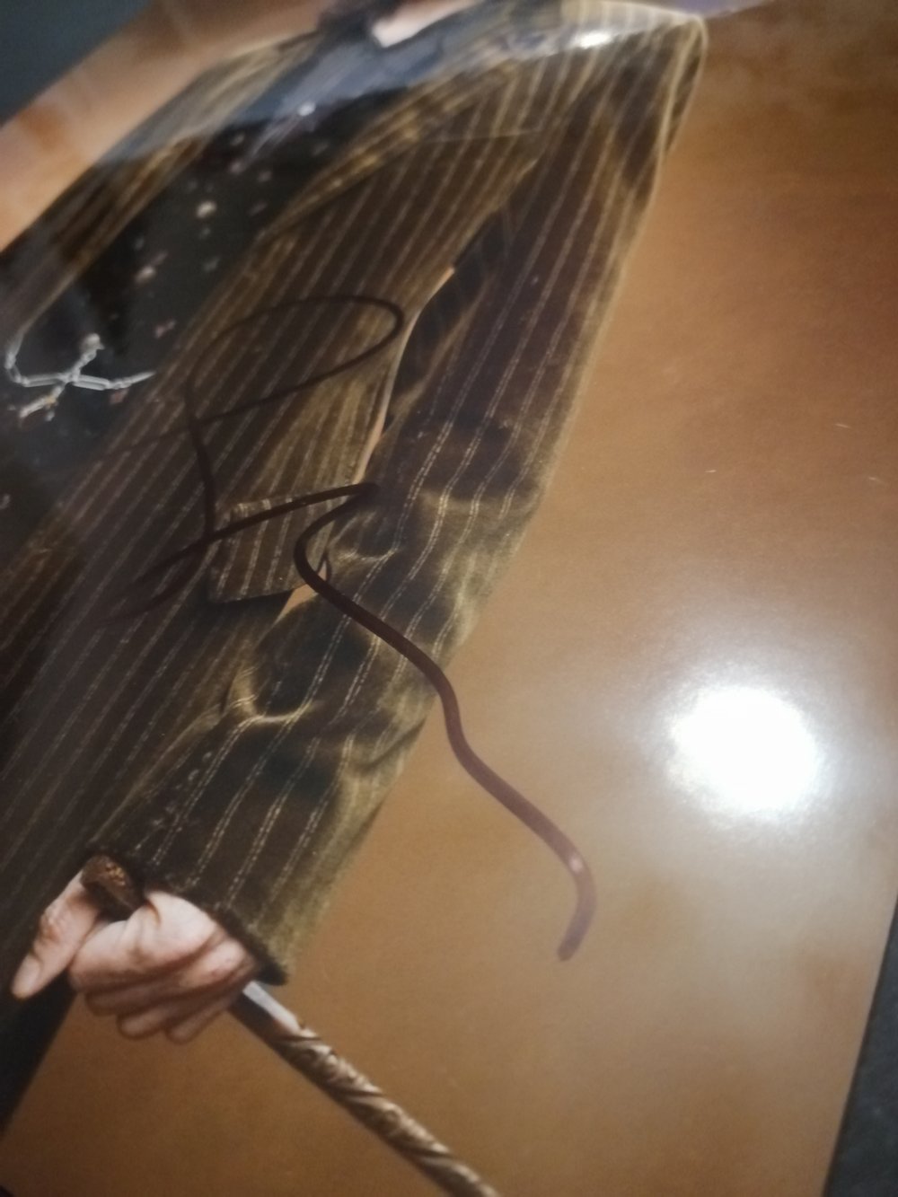 Gary Oldman Sirius Black 10x8 photo Signed