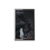 Strength Cassette