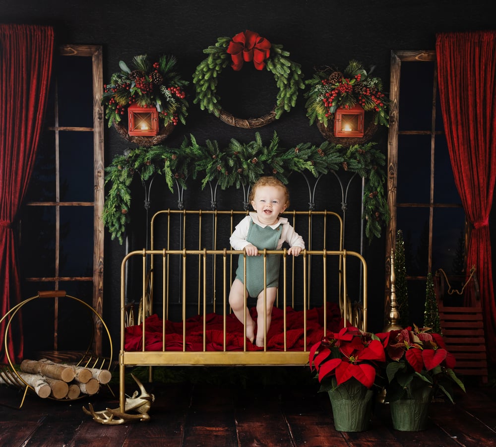 Image of 2021 Elegant Christmas Family and Children Studio Mini Sessions