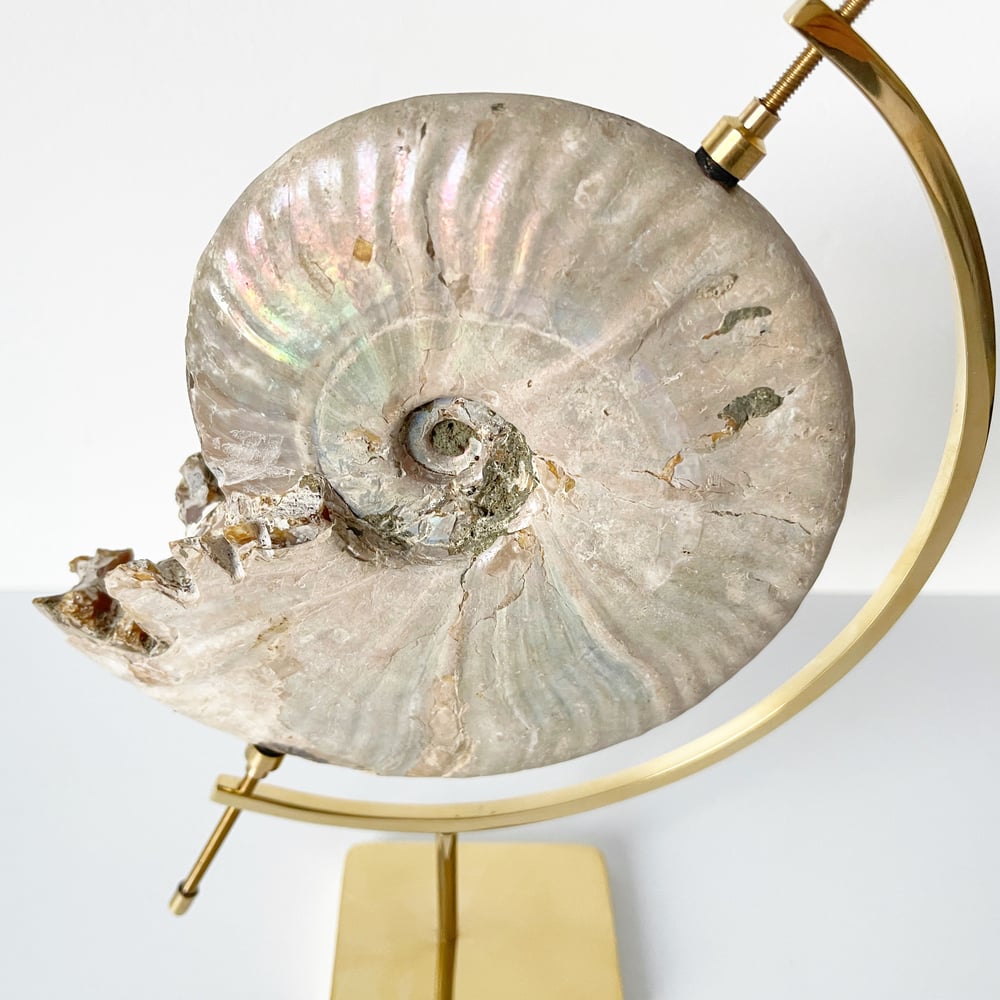 Image of Geode Ammonite No.41 + Brass Arc Stand
