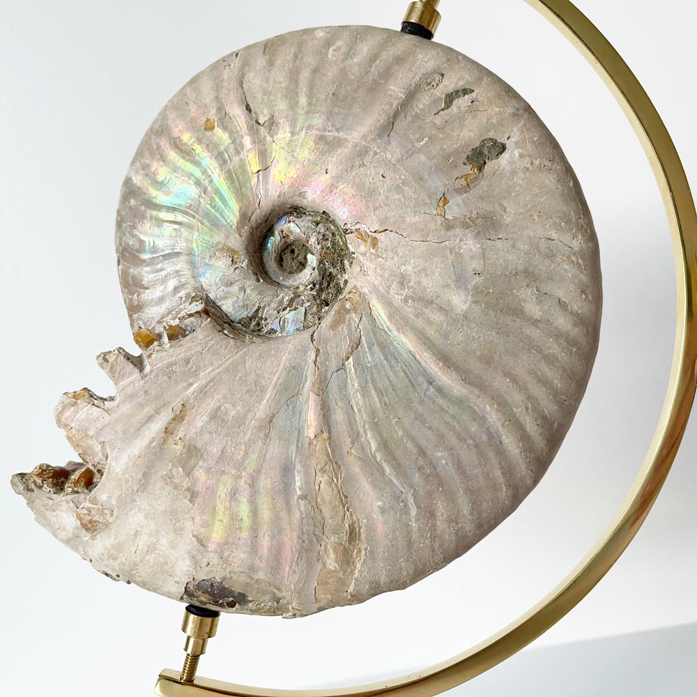 Image of Geode Ammonite No.41 + Brass Arc Stand