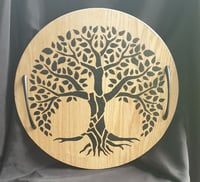 Image 3 of Round Trays