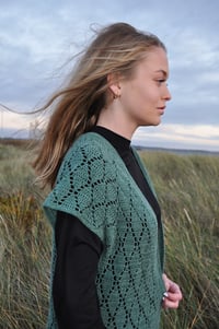 Image 2 of Løvspring vest - english