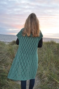 Image 1 of Løvspring vest - english