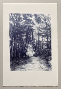 Image 3 of Mont Shosha