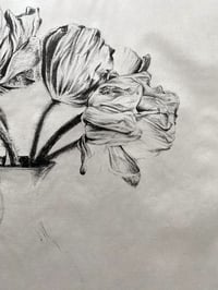 Image 3 of Poppies