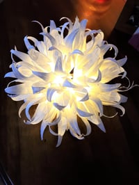Image 1 of Bouquet lumineux 20 LED Moon