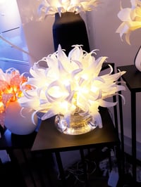 Image 3 of Bouquet lumineux 20 LED Moon