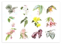 Image 4 of 2022 Calendar