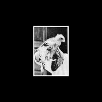 Image 1 of A5 (SANS TITRE 6) - RODRIGUE DE FERLUC
