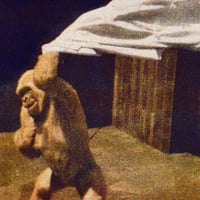 Image 2 of A4 (SANS TITRE 3) - RODRIGUE DE FERLUC