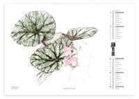 Image 3 of 2022 Calendar