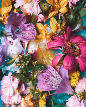 Image of Flower Chaos
