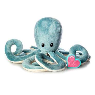Image of Heartbeat Octopus