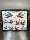 Nick Moran Flash BIRDS