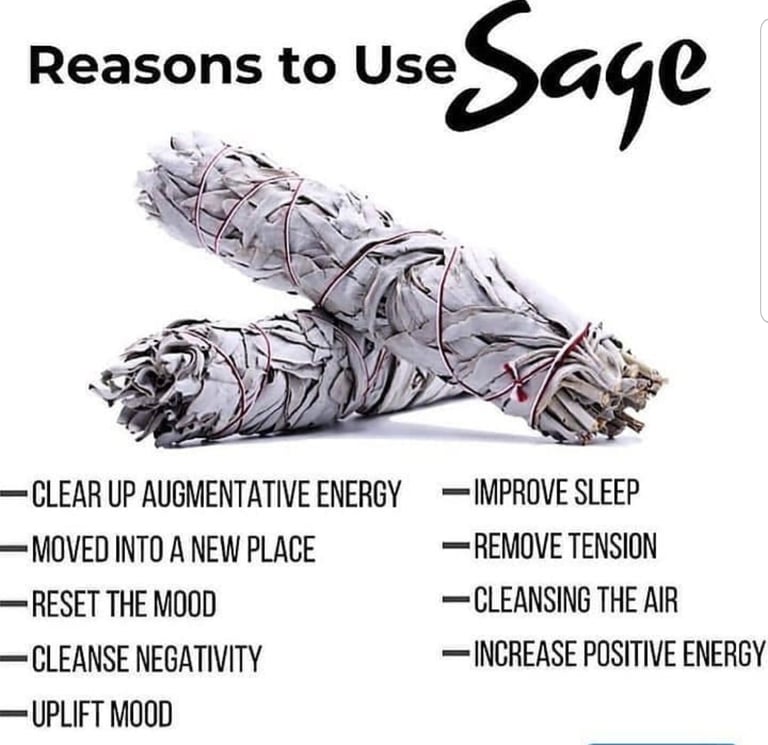 WHITE SAGE  Image 2