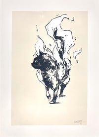Image 3 of FIRE // CAT #01