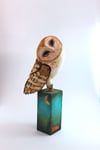Barn Owl Sculpture ~ Sweet P
