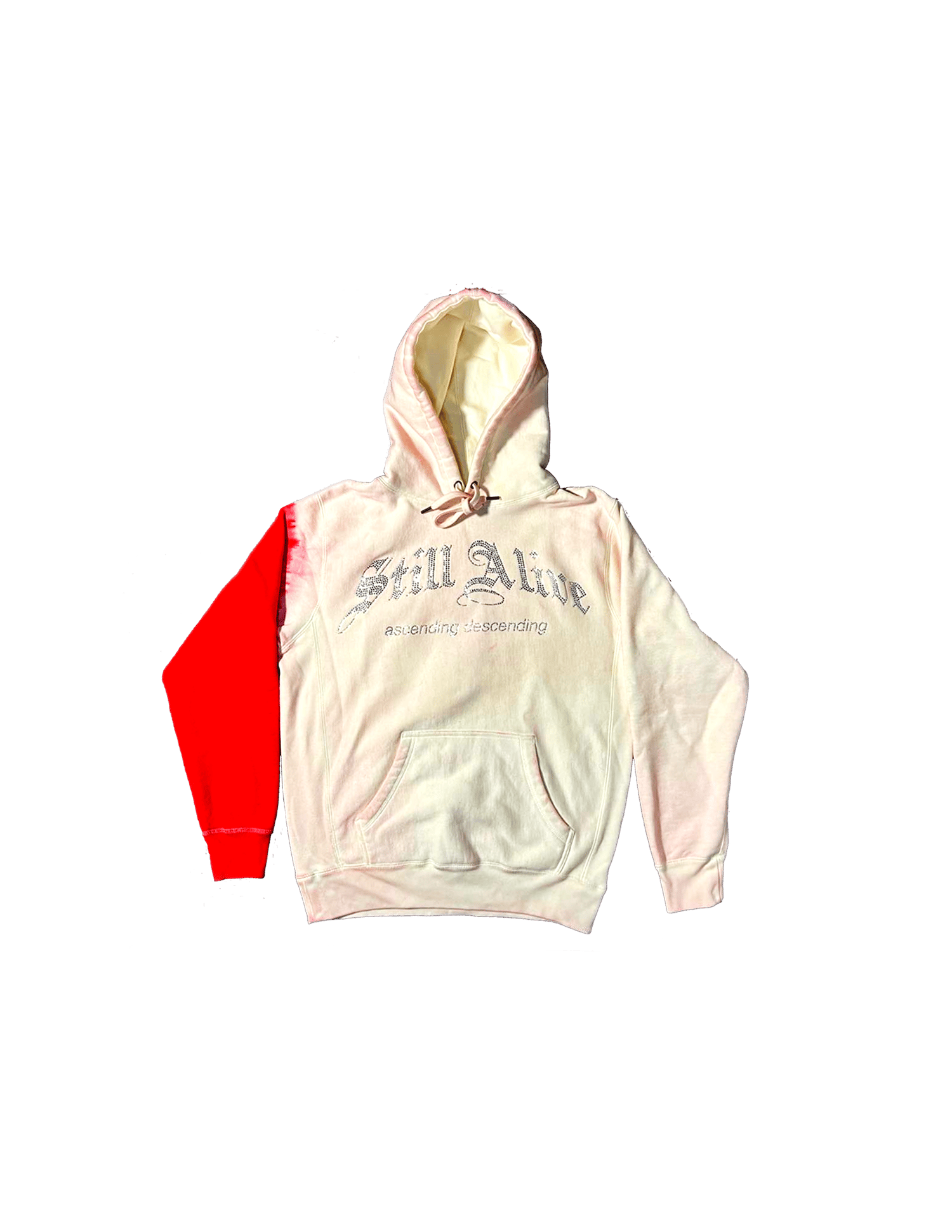 Image of 5th Anniversary Swarovski Hoodie