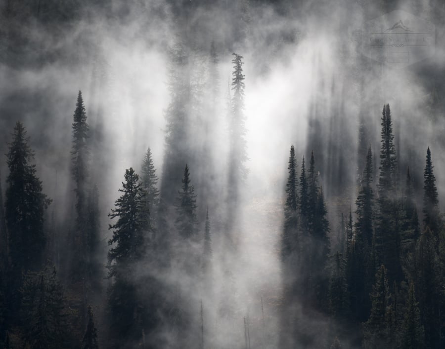 Image of Teton Fog