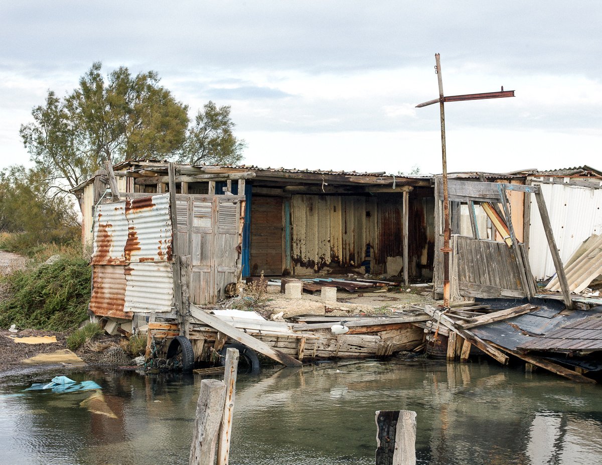 Image of PRINT - Carried Away - Camargue, France.