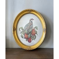 Image 2 of Original Artwork: Partridge in a Pear Tree