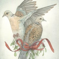 Image 3 of Original Artwork: Two Turtle Doves