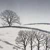 Hester Cox Limited Edition Collagraph Print - 'A Winter Walk'