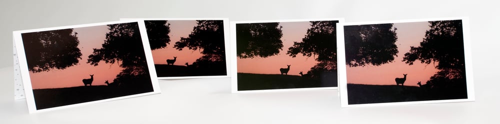 Image of Set of four Deer cards