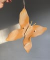Venus Butterfly Ornament