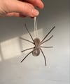 Spider Wisdom Ornament