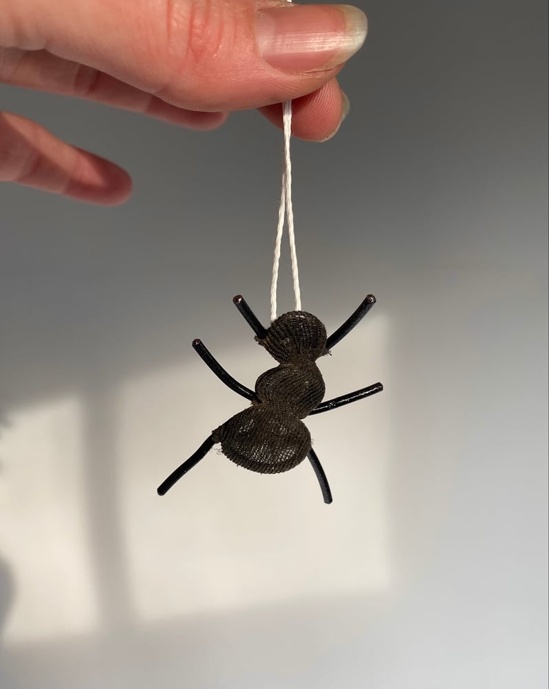 Image of Curious Ant Ornament