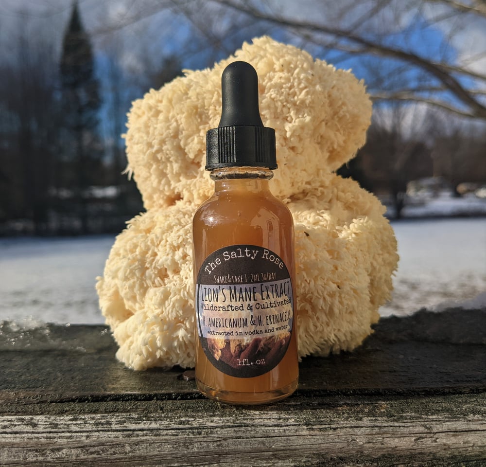 Image of Lion's Mane Extract
