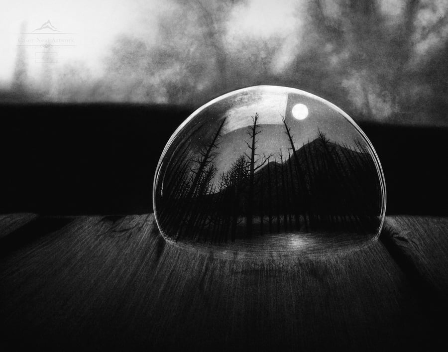 Image of Forest Bubble
