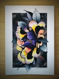 Image 2 of Golden Blue Peony