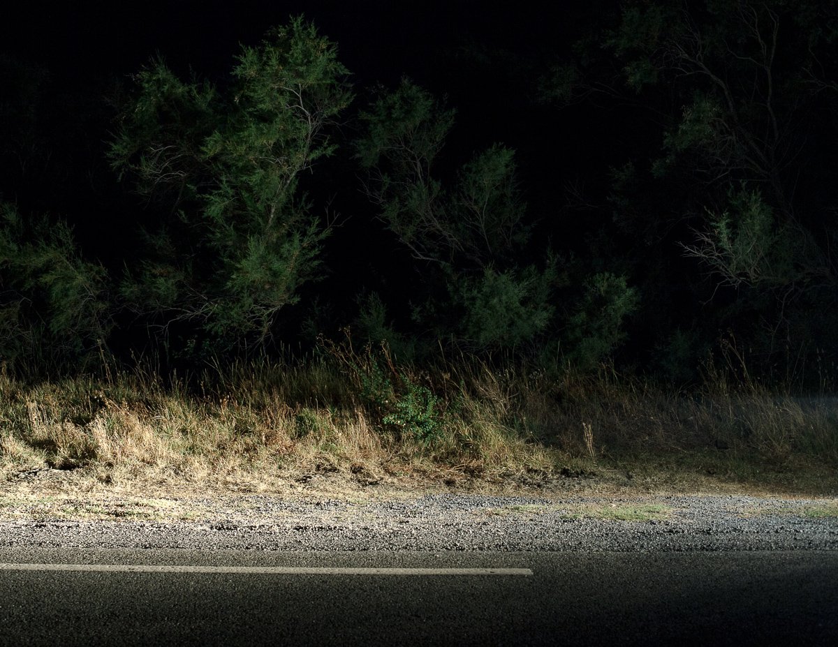 Image of PRINT - Carried Away - Camargue, France