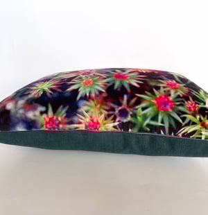 Image of Starry mosses, printed velvet cushion